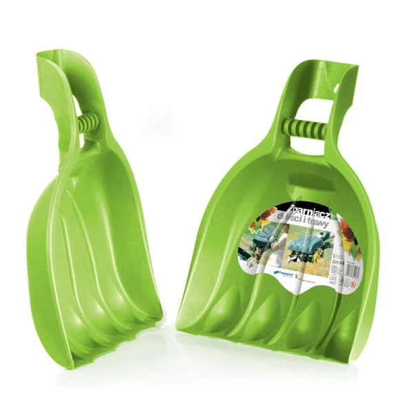 Bladscheppen Berenpoot - Grote Schephanden 4 Bladscheppen Berenpoot - Grote Schephanden - Afbeelding 4