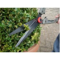 Buxusschaar Saboten 1550 - Professioneel 5 Buxusschaar Saboten 1550 - Professioneel -Brabantia Verkoopwinkel buxusschaar pro saboten 1550 1603887694 3 600